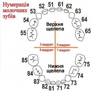статті1